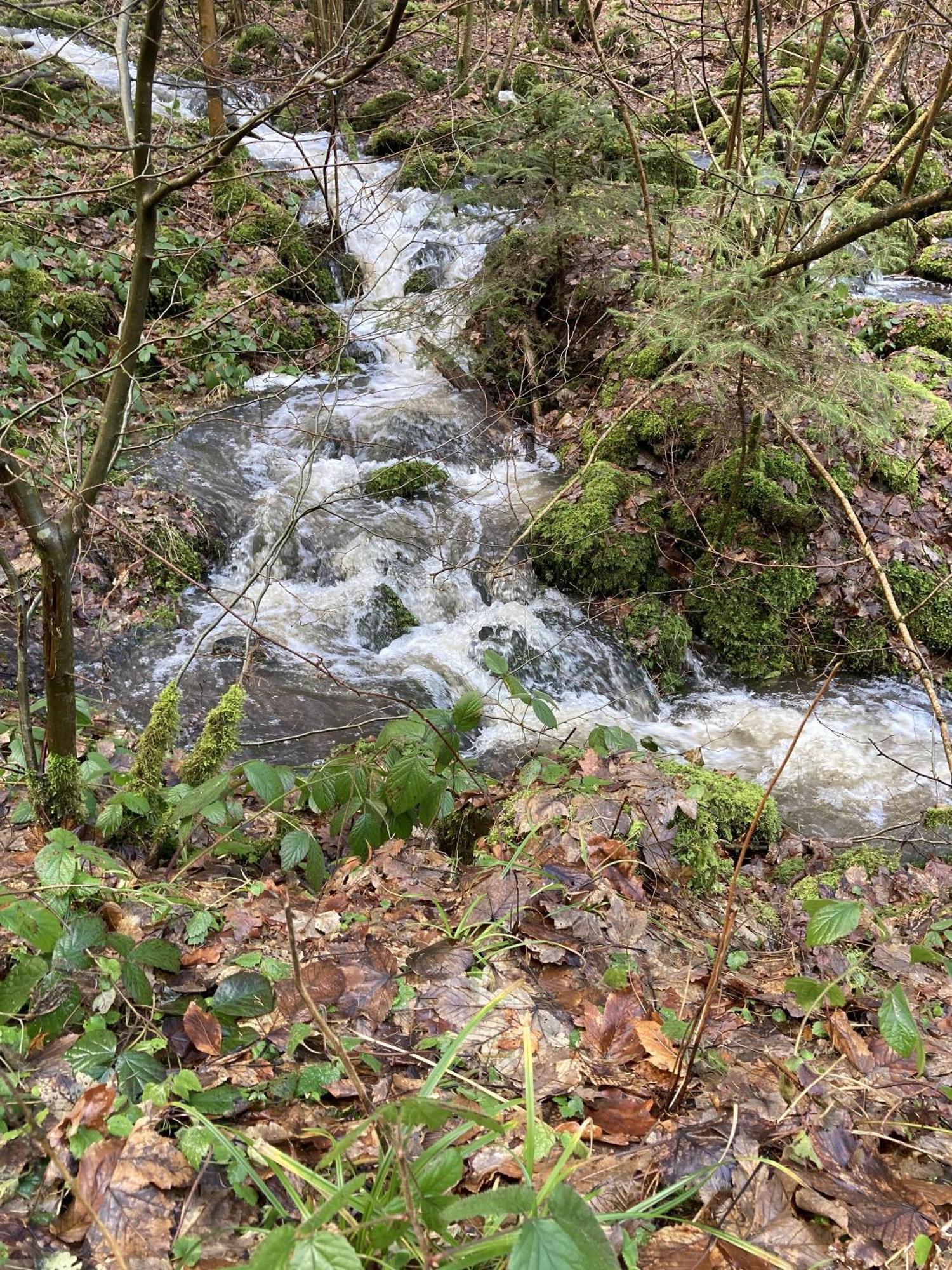 Gittas Paradiesperle Niederdreisbach Luaran gambar